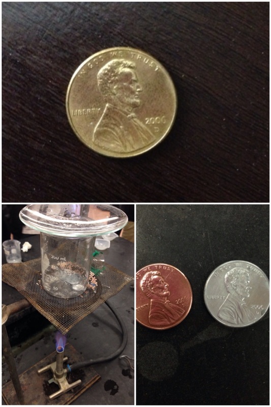 Gold penny lab questions online